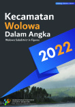 Kecamatan Wolowa Dalam Angka 2022