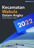 Kecamatan Wabula Dalam Angka 2022